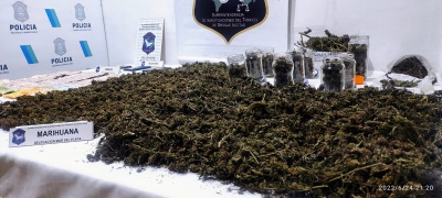 Le encontraron 2 kilos de marihuana y dijo que era para "consumo familiar"