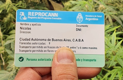 El Gobierno denunció irregularidades en la entrega de permisos de REPROCANN