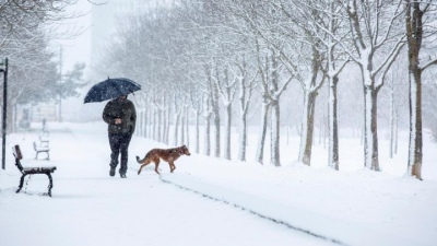 Frío polar en gran parte del país: las provincias que están en alerta para este martes