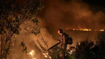 Brasil: una serie de incendios arrasaron humedales y calcinaron animales