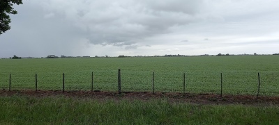 Pronostican lluvias importantes en gran parte del campo argentino
