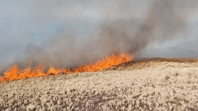 Incendios en Córdoba: bomberos en alerta máxima