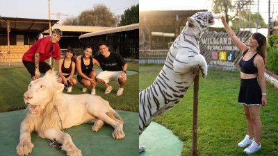 Garnacho y su novia se sacaron una foto con un león encadenado