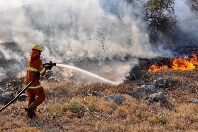 Noticias de Hoy: Incendios en Córdoba, eliminación de pensiones, Navidad adelantada en Venezuela y más