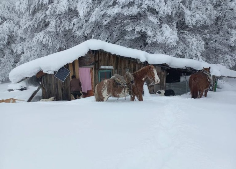 Continúan las fuertes nevadas en Chubut