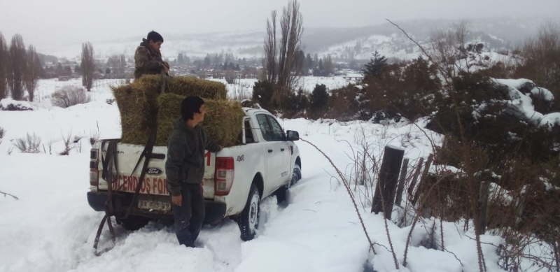 Chubut está en emergencia climática