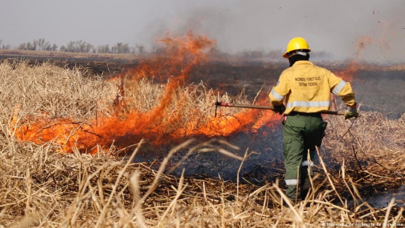 Detuvieron a un nuevo sospechoso por los incendios en las islas del Delta del río Paraná