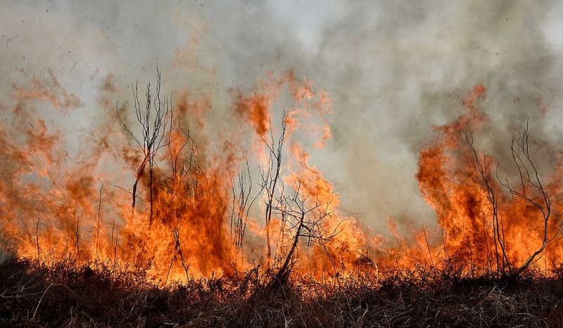 Liberan a tres de los detenidos por prender fuego en el Delta del Paraná