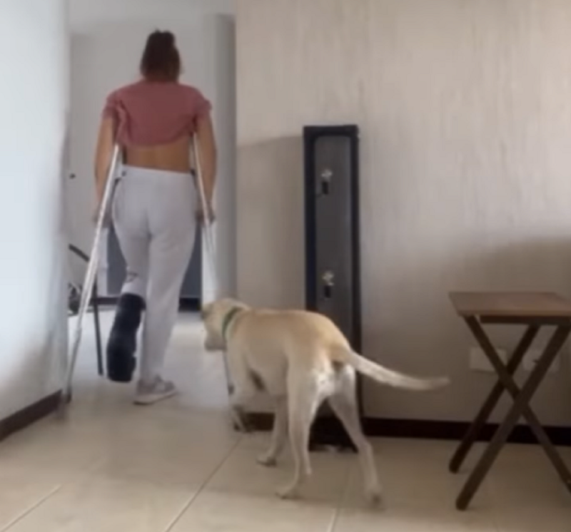 El perrito rengo como su dueña