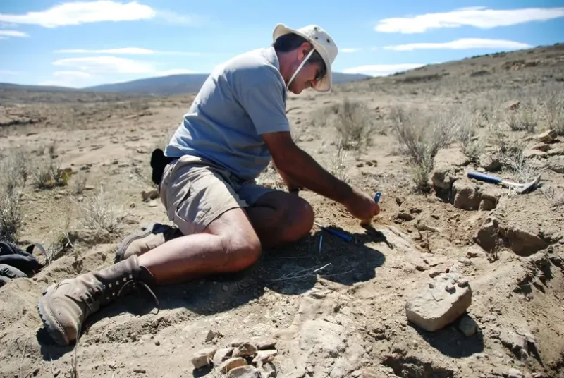 Descubrieron un nuevo dinosaurio