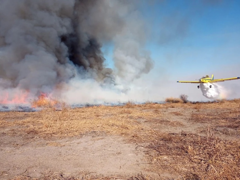 El clima dificulta el combate del fuego en el Delta