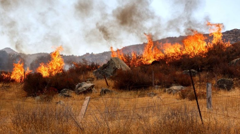 La ola de calor en California provocó incendios forestales