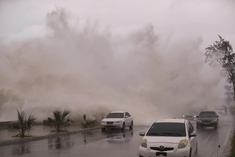 Llegó desde Puerto Rico