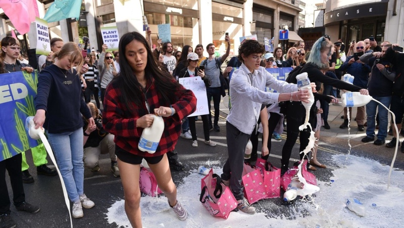 Activistas veganos tiraron litros de leche en supermercados