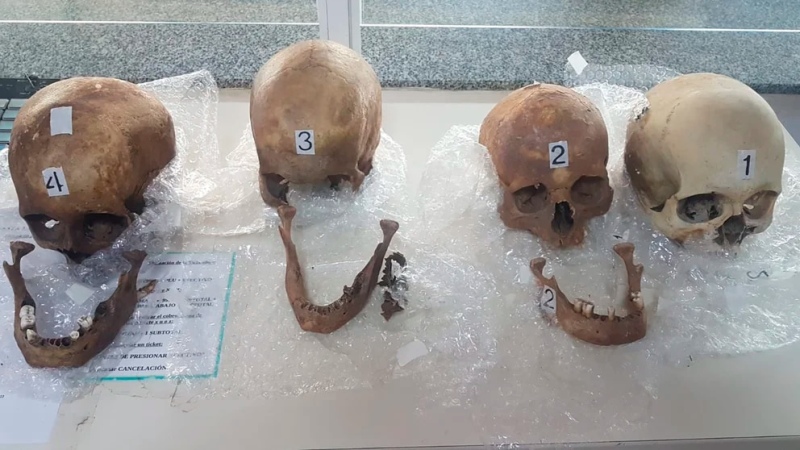 Encontraron cráneos humanos en una valija