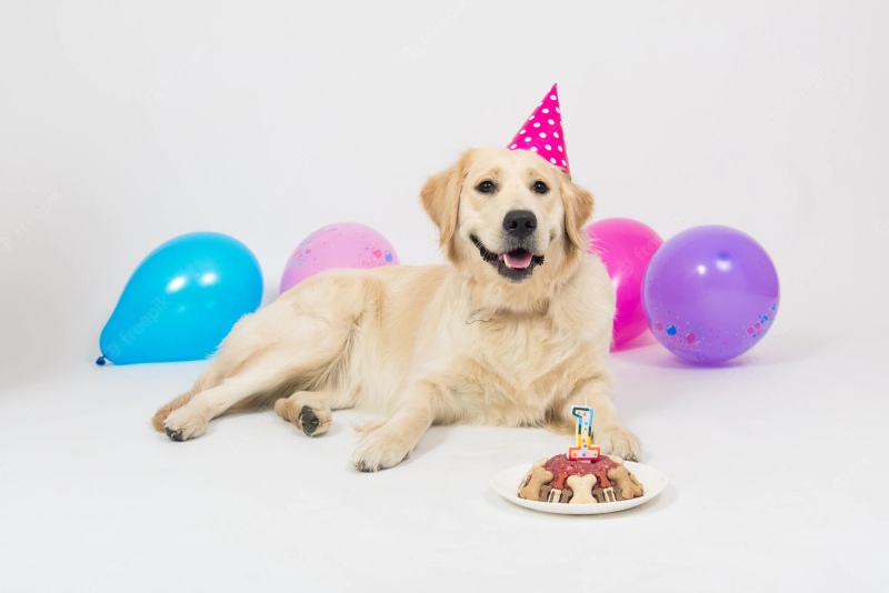 Una familia le festejó el cumple a su perro