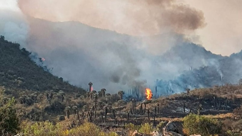 Procuran contener un incendio en Mina Clavero