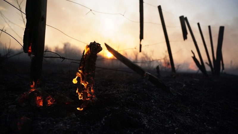 En 102 días se quemaron 170.000 hectáreas del Delta