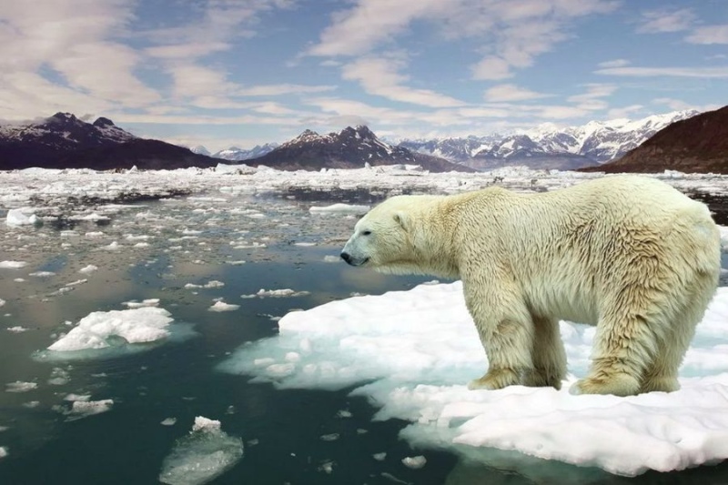 La ONU estima un calentamiento global de 2,6 grados para fines de siglo