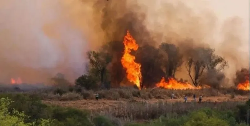 Incendios forestales: cuatro provincias registran focos activos