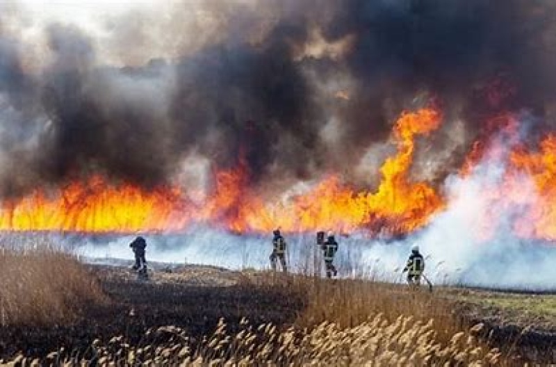 Los incendios de Salta avanzan a Jujuy