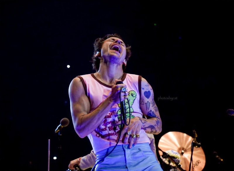 Harry Styles paró un show por un motivo muy especial