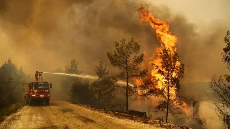 El Ministerio de Ambiente enviará ayuda para combatir los incendios en Tierra de Fuego