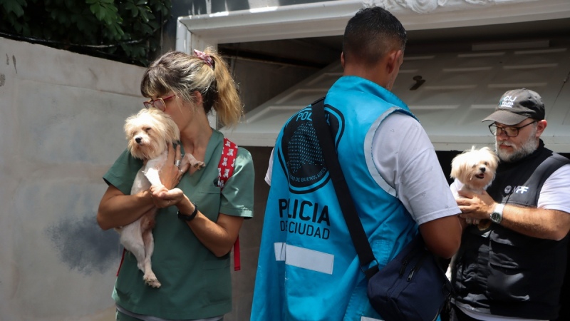 Clausuraron un criadero ilegal en Belgrano