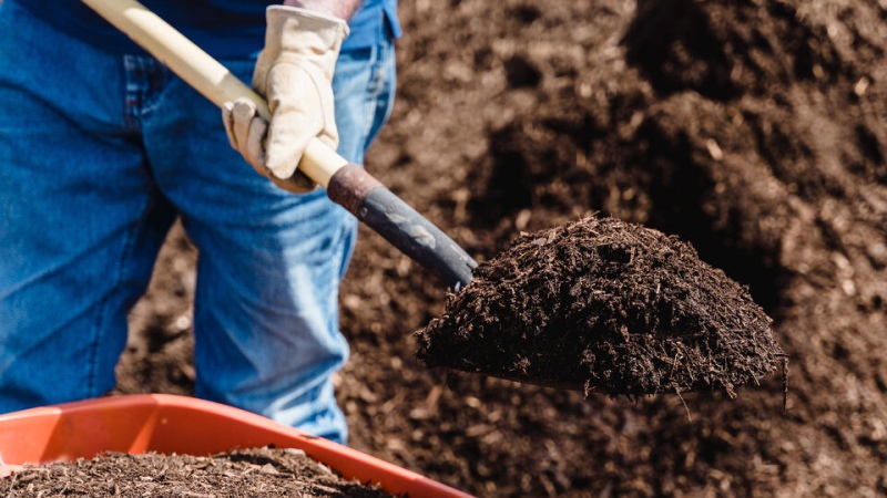 Nueva York autorizó a las personas a ser compostadas al morir