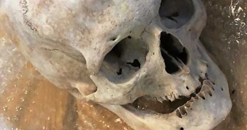 Encontraron una calavera en una encomienda postal