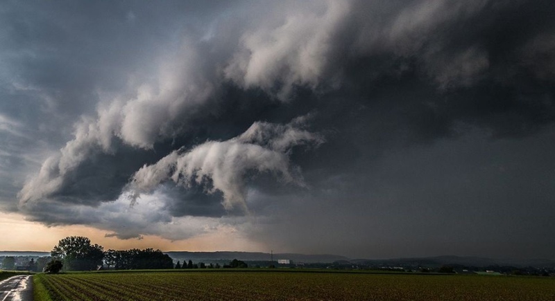 La lluvia, un alivio para el campo en medio de la sequía