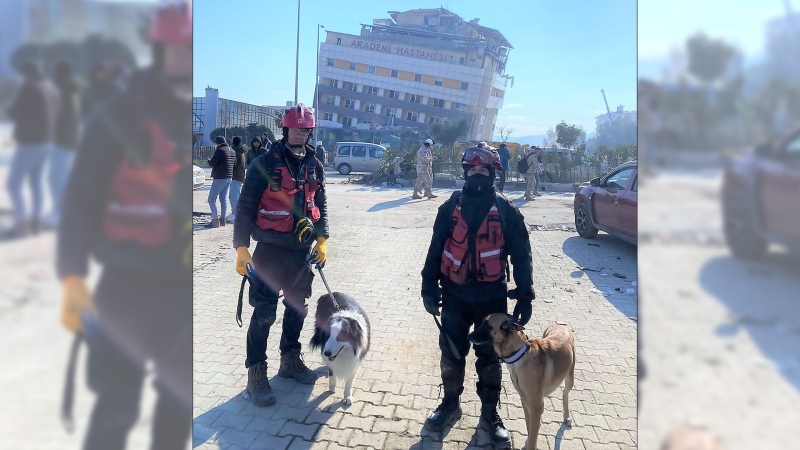 Unos perros argentinos rescataron a una madre y su hijo en Turquía