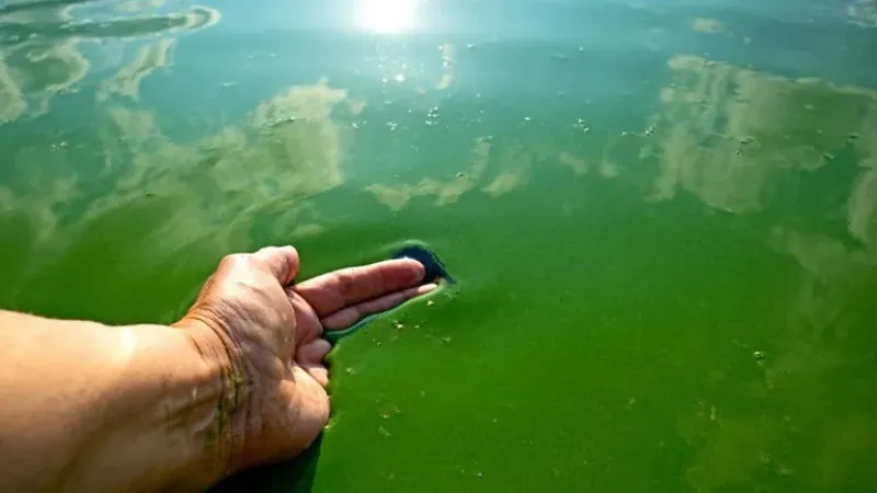 Alerta en el Río de la Plata