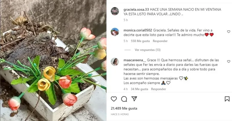 El mensaje de la mamá de Fernando Báez Sosa que emocionó en Instagram