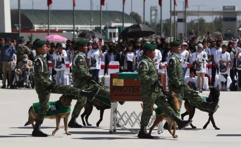 Homenajearon a Proteo, el perrito rescatista que murió en Turquía