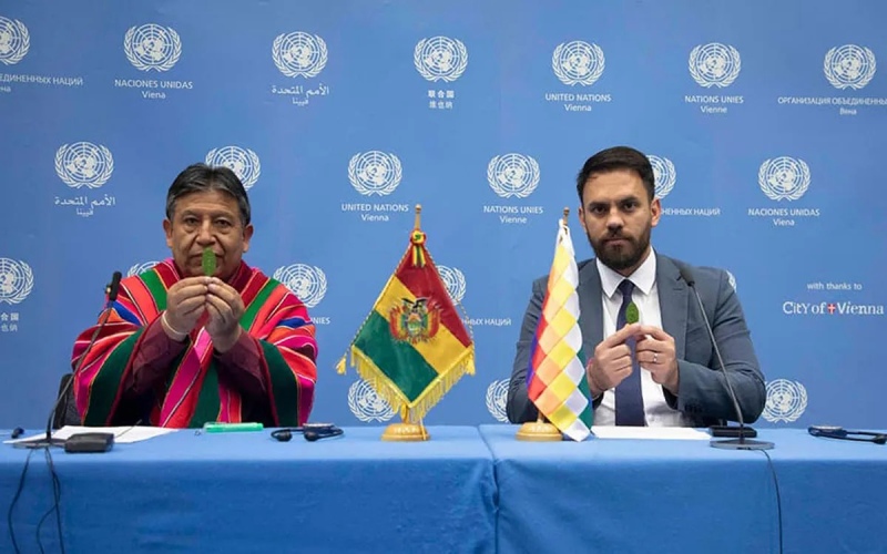 Bolivia propone a la ONU despenalizar la hoja de coca