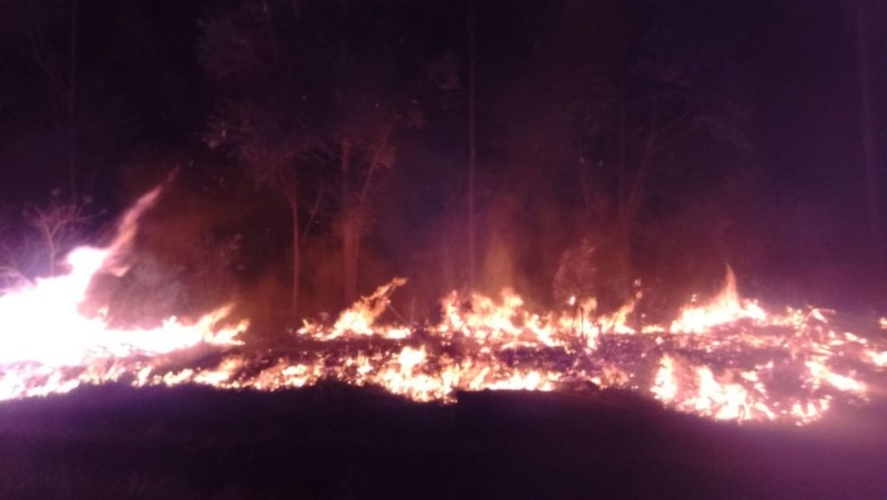 Registran 12 focos de incendios rurales en Corrientes