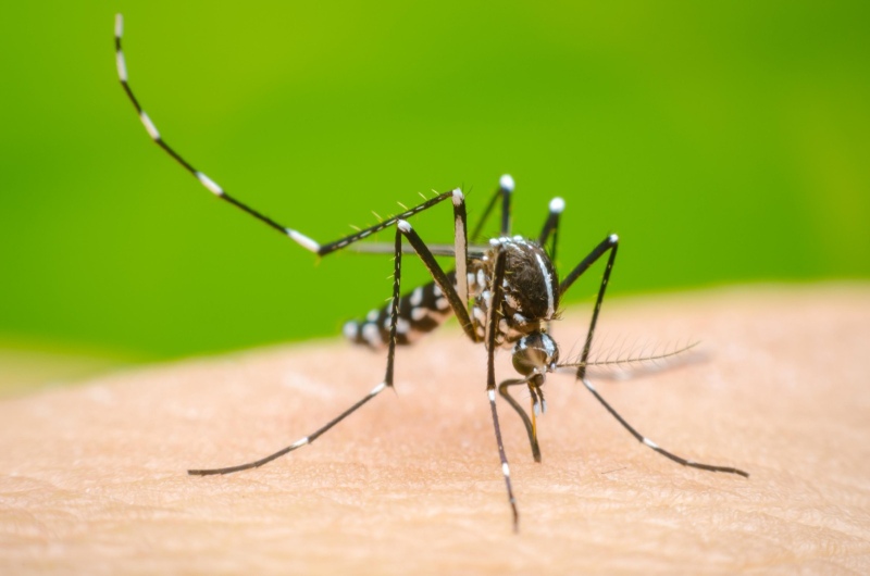 Primera muerte por dengue en Corrientes