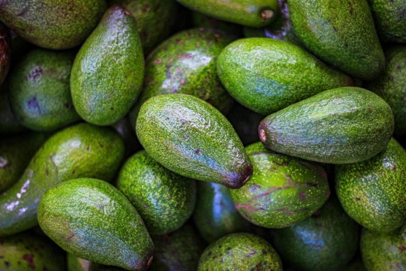 Cuáles son los beneficios de la palta y cómo incorporarlas a la alimentación