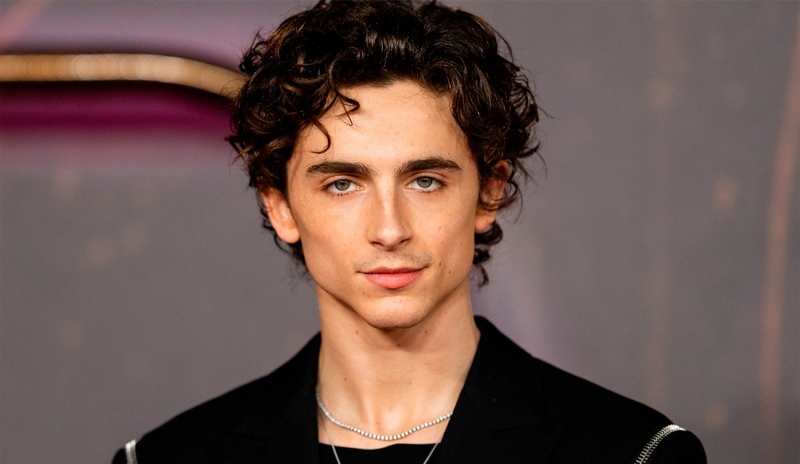 El accidente de Timothée Chalamet