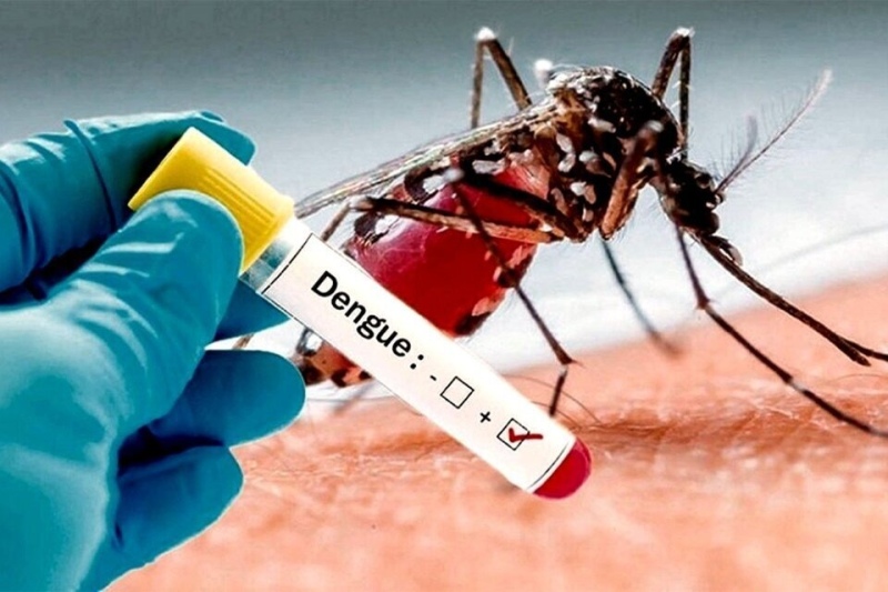 La ANMAT aprobó la vacuna contra el dengue
