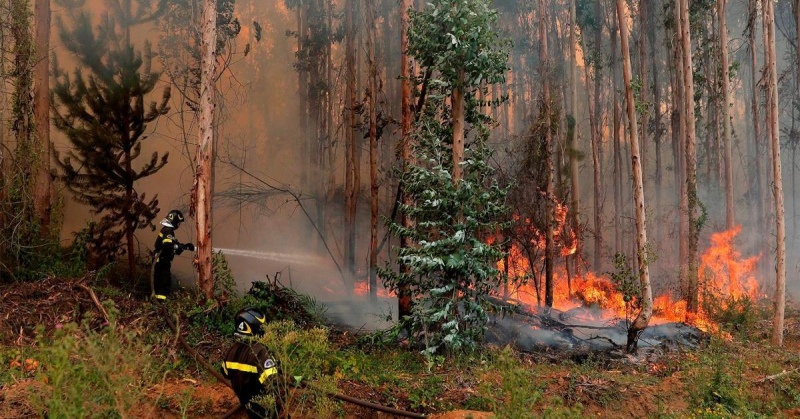 Lanzan plataforma de patentes para la lucha contra incendios forestales