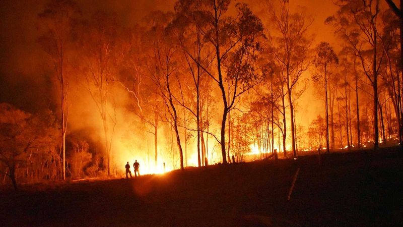 España: preocupación por la cantidad de incendios