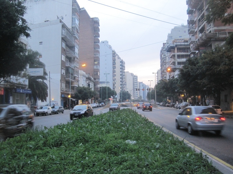 Palermo: un hombre en situación de calle murió atropellado por un colectivo