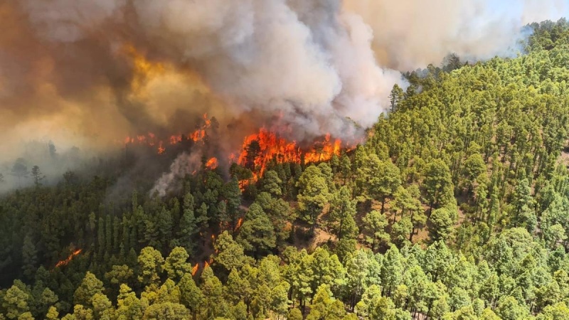 Investigan a un hombre como autor del incendio en Gran Canaria