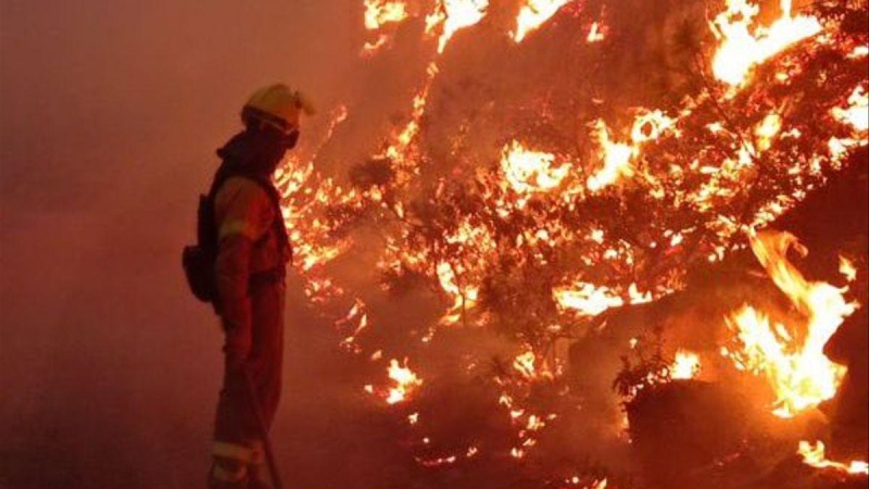 Terrible incendio en Gran Canaria