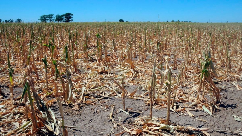 Tucumán en emergencia agropecuaria por la sequía