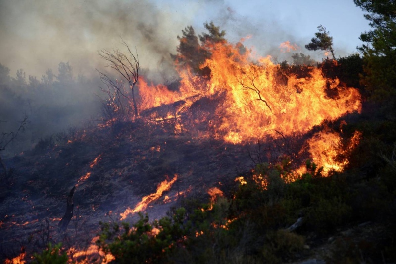 Alarmante calor e incendios en Europa: Italia y Grecia, los países más afectados