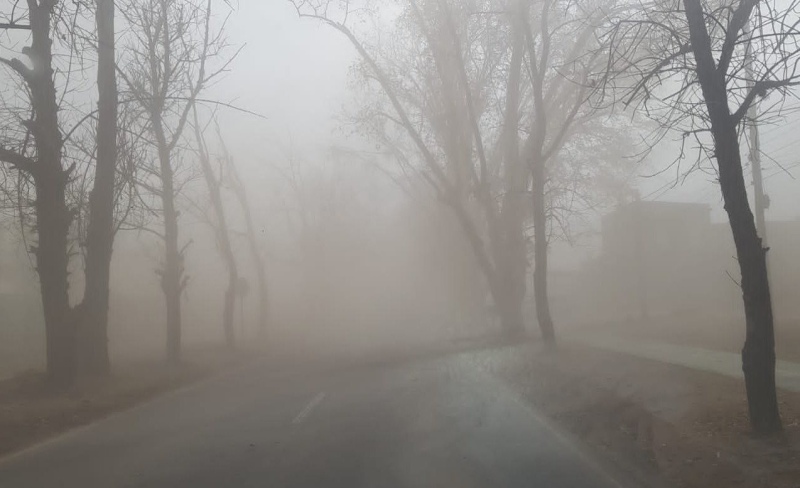 Llegó el Zonda a Mendoza: ráfagas de viento, nieve y destrozos