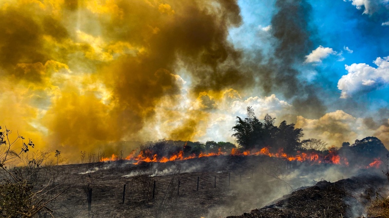 Un 80% del planeta sufrió temperaturas por encima de lo habitual en Julio